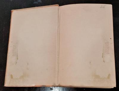 Tarzan and The Lost Empire First Edition