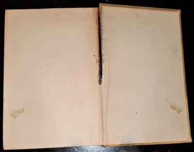 Tarzan and the Golden Lion McClurg First Edition