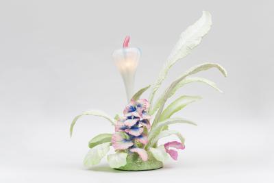 Teemu Salonen Cabbage Garden