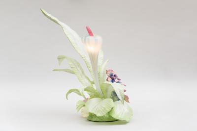 Teemu Salonen Cabbage Garden