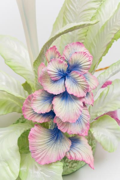 Teemu Salonen Cabbage Garden