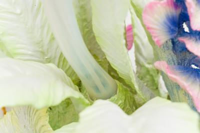 Teemu Salonen Cabbage Garden