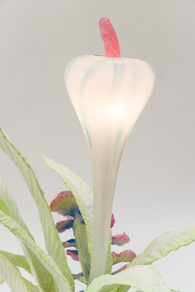 Teemu Salonen Cabbage Garden