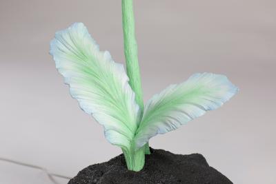 Teemu Salonen Flower No 6 FI