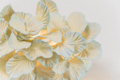 Teemu Salonen Teemu Salonen Chinese Restaurant No 7 FI 2020