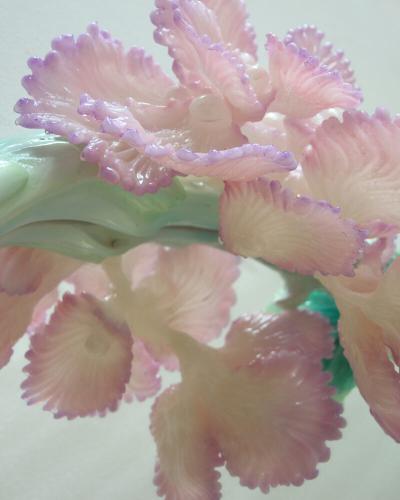 Teemu Salonen Teemu Salonen Tropicall Me FI 2025