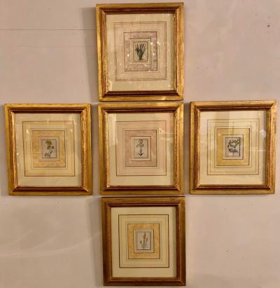 Ten Copperplate Engravings in Gilt Frames by Benjamin Maund Judy Cormier Framed