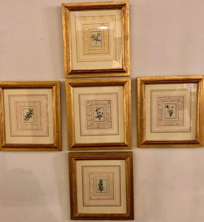 Ten Copperplate Engravings in Gilt Frames by Benjamin Maund Judy Cormier Framed