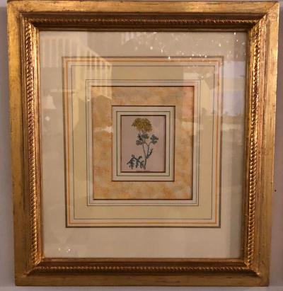 Ten Copperplate Engravings in Gilt Frames by Benjamin Maund Judy Cormier Framed