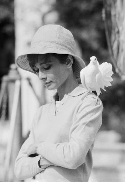 Terry O Neill Audrey Hepburn with Dove