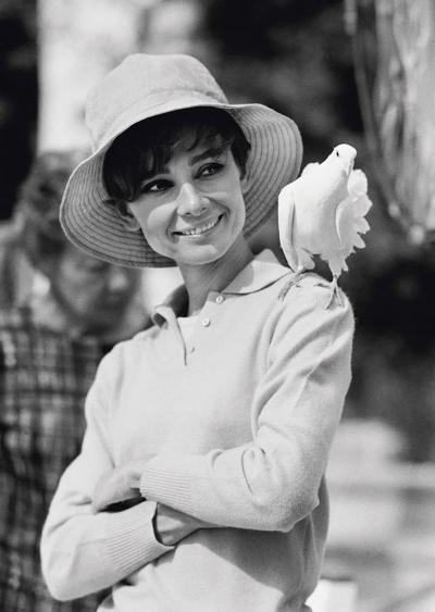 Terry O Neill Audrey Hepburn with a Dove 2