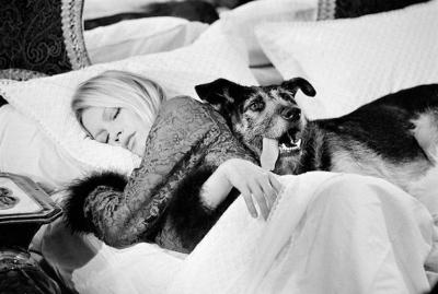 Terry O Neill Bardot with Dog on set of Les Novices