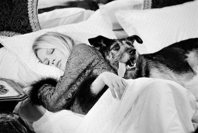 Terry O Neill Bardot with Dog on the set of Les Novices