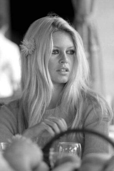 Terry O Neill Brigitte Bardot Shalako View 2
