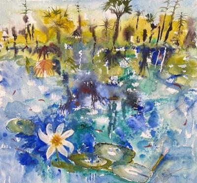 Terry Swann Arafura Wetland