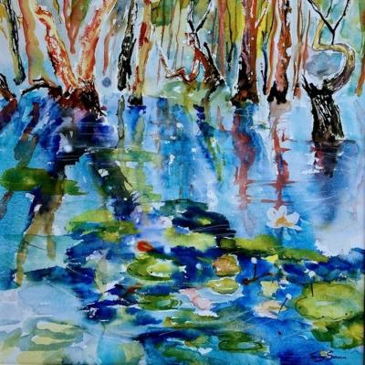 Terry Swann Mary River Wetland