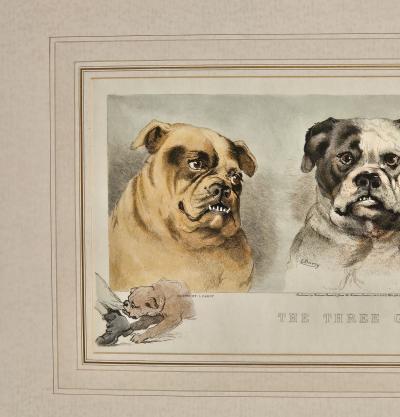 The Three Graces England circa 1920