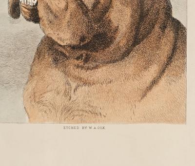 The Three Graces England circa 1920