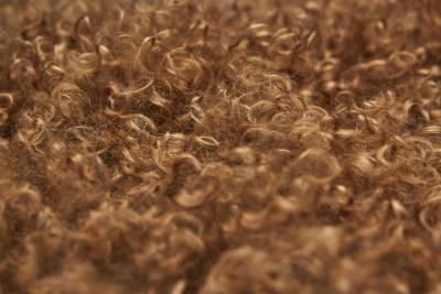 Theo Ruth Pair of Congo Lounge Chairs by Theo Ruth for Artifort The Netherlands 1950s