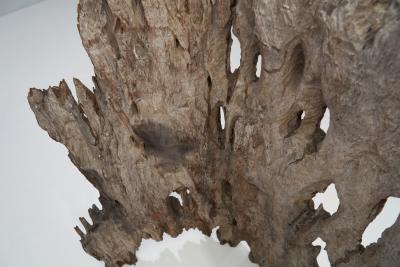 Tibetan Tree Bark Room Divider Tibet ca 19th century