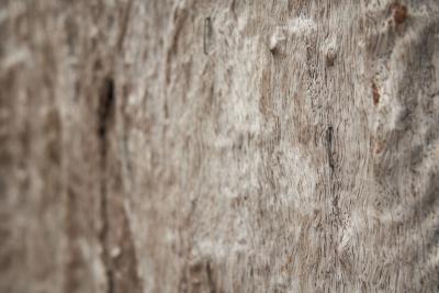 Tibetan Tree Bark Room Divider Tibet ca 19th century