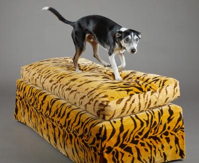 Tiger Ottoman