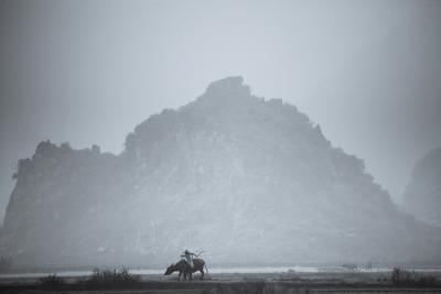 Tim Graham Dawn Mist