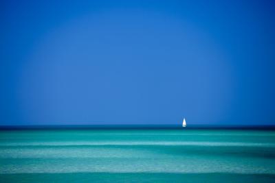 Tim Graham Dream Blues