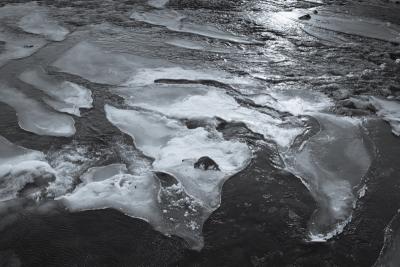 Tim Graham Floating Ice Sculptures