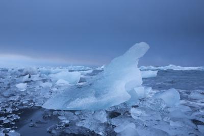 Tim Graham Iceberg Blue
