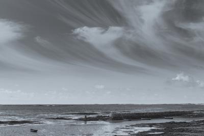 Tim Graham Mare s Tails