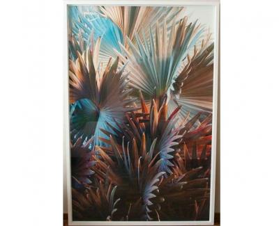 Tinko Czetwertynski Contemporary Photography Palomino Palm by Tinko Czetwertynski