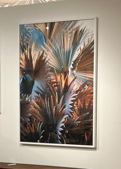 Tinko Czetwertynski Contemporary Photography Palomino Palm by Tinko Czetwertynski