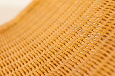 Tito Agnoli Tito Agnoli Set of Four Cane Chaise Lounges P3S Pierantonio Bonacina Italy 1964