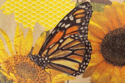 Tjitske Storm Tjitske Storm Curious Caterpillar NL 2024