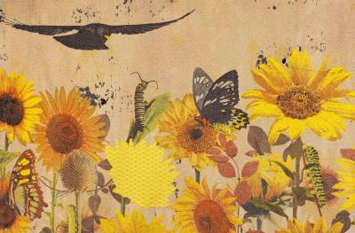 Tjitske Storm Tjitske Storm Curious Caterpillar NL 2024