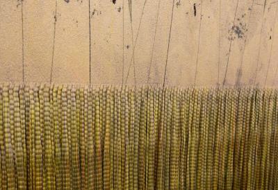 Tjitske Storm Tjitske Storm Curious Caterpillar NL 2024