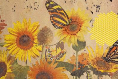 Tjitske Storm Tjitske Storm Curious Caterpillar NL 2024