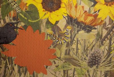 Tjitske Storm Tjitske Storm Curious Caterpillar NL 2024