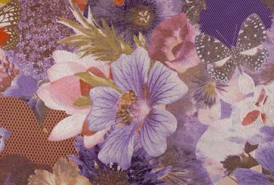 Tjitske Storm Tjitske Storm Eye of Aphrodite NL 2024