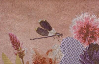 Tjitske Storm Tjitske Storm Eye of Aphrodite NL 2024