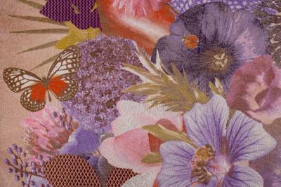 Tjitske Storm Tjitske Storm Eye of Aphrodite NL 2024