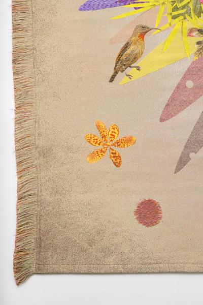 Tjitske Storm Tjitske Storm Sunbirds Tropical Flowers 2 0 NL 2022