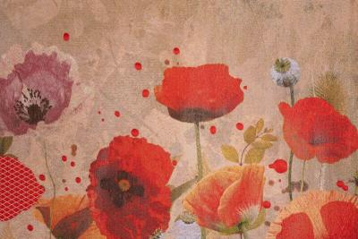 Tjitske Storm Tjitske Storm Tall Poppy NL 2024