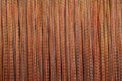 Tjitske Storm Tjitske Storm Tall Poppy NL 2024