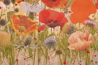 Tjitske Storm Tjitske Storm Tall Poppy NL 2024