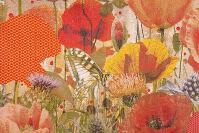 Tjitske Storm Tjitske Storm Tall Poppy NL 2024