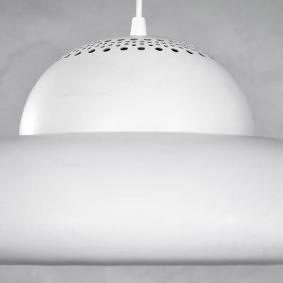 Tobia Scarpa Tobia Scarpa for Flos Pendant Lamp mod Fior di Loto