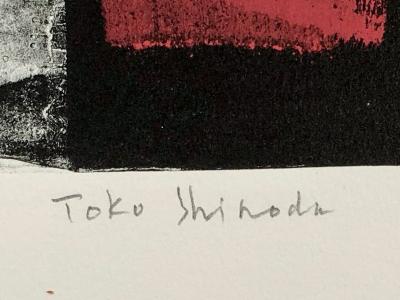 Toko Shinoda Tableau