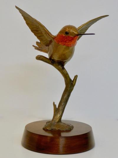 Tom Hjorleifson Rufous Hummingbird